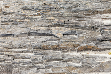 The texture of a stone abstract pattern in nature.