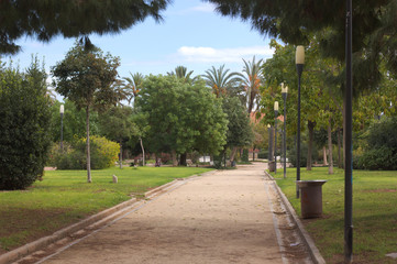 Fototapeta na wymiar In the city park pathway
