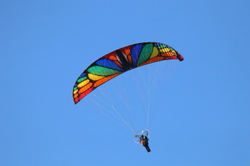 Gleitschirmflieger König der Lüfte