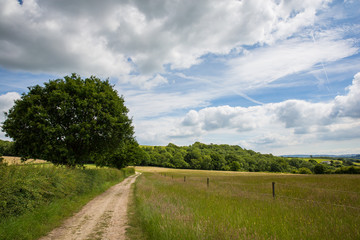 Rural path winding past a field on a bright day in England