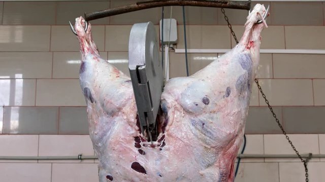 The butcher cut up the carcass. Close up.