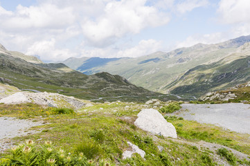 Fototapeta premium Flüela, Flüelapass, Susch, Alpen, Passhöhe, Passstrasse, Bergstrasse, Wanderweg, Graubünden, Sommer, Schweiz
