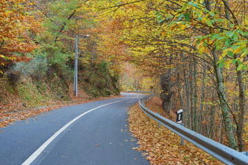 Beautiful typical autumn landscape