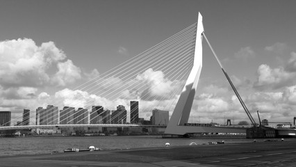 Bridge in Rotterdam