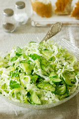 Vegetable salad of fresh cabbage, cucumber and onion with parsley and dill. Rustic style.