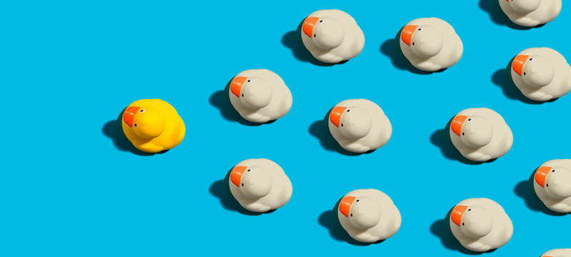 Rubber ducks leadership concept on a blue background