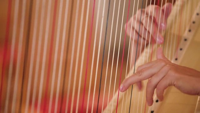 Symphony orchestra player is playing harp during the symphonic concert