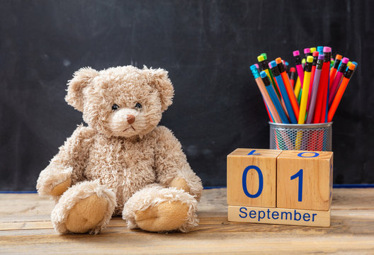September 1st date, teddy bear and colorful pencils on blackboard background