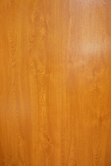 Yellow wood texture