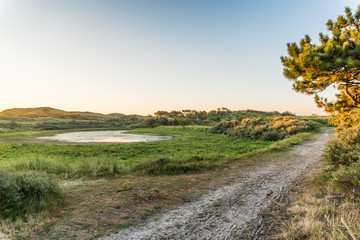 Fototapeta premium Morning sun in the dune valley