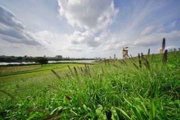 Obraz premium Jesienna łąka