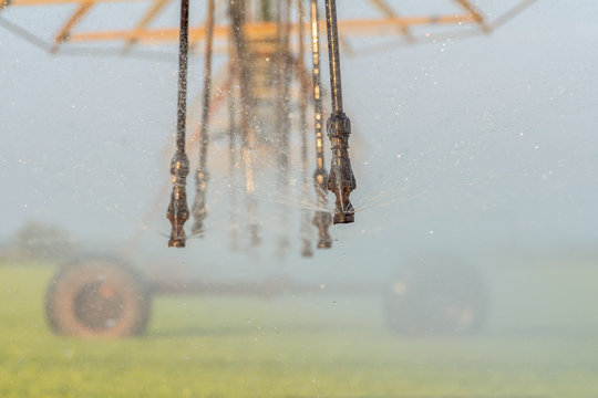 Close-up of an irrigation system for agriculture, to promote the growth of plants at great and prolonged heat. Concept: agriculture or water supply