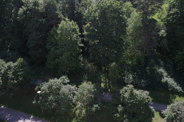 Walkways and trees from above