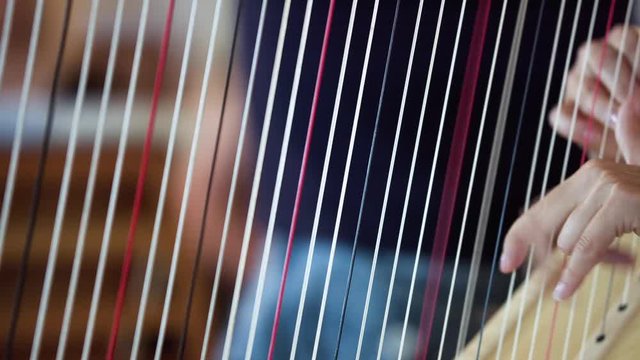 Symphony orchestra player is playing harp during the symphonic concert