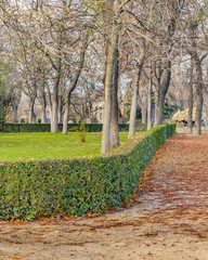 Del Retiro Park, Madrid, Spain