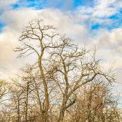 Del Retiro Park, Madrid, Spain
