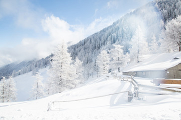 Fototapeta na wymiar winter road in the Alps