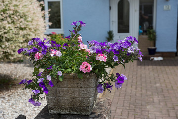 Stone planter box with a stunning display of flowers in a small village in Wales UK