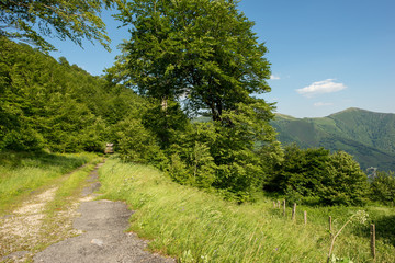The way of santiago between valcarlos and roncesvalles