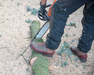 A Tree Surgeon uses a chainsaw to cut through a small branch.