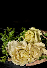 Bouquet of fresh cabbage, on a black background