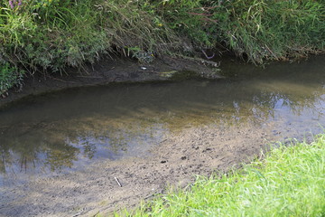 Ooser Landgraben, Fluß durch Sandweier, einem Ortsteil von Baden-Baden, mit Niedrig Wasser und ausgedrocknetem Flußßbett