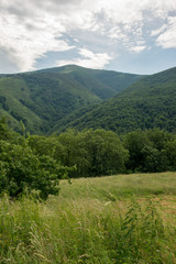 Fototapeta premium The way of santiago between valcarlos and roncesvalles