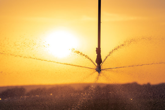 Close-up of a irrigation system for farming during the sunset, to promote the growth of plants at great and prolonged heat. Concept: agriculture or water supply