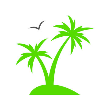 Tropical palm tree. Summer beach. Palm tree silhouette. Vector illustration
