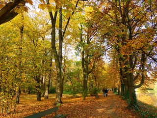 Plakat Herbst im Park