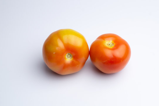 Comida - Tomates vermelhos Fundo Branco