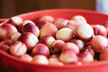 Basket of nectarine