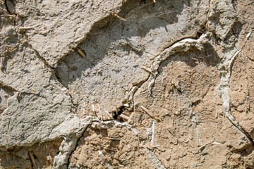 Texture of the old wall of an abandoned house at sunrise.