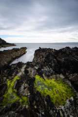 Galley head, Castlefreke, West Cork