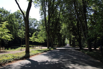 park