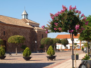 plaza de la iglesia  con arbol de flores rosas
