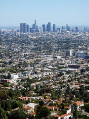 Downtown LA from the Hollywood hills