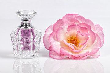 A bottle of rose cologne next to a rose on white background