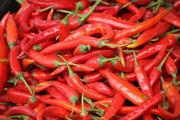 Fresh red chillies being sold at a spice market in india