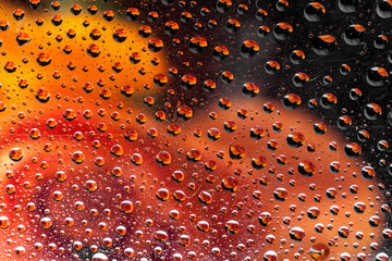 reflection of a rose in a rain drop