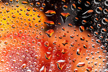 reflection of a rose in a rain drop