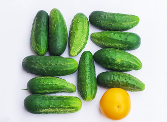 Group of cucumbers and a tomato with different colors, different and unique concept