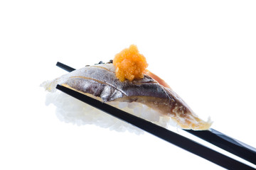 Sushi Isolate on white. Path included.