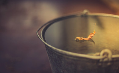 Dried yellow autumn leaf floats in a bucket full of water. The concept of Autumn peace and tranquility.