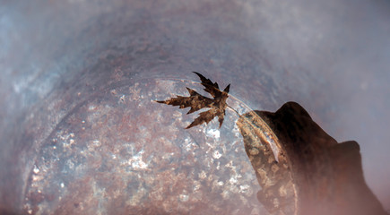 A bucket full of water reflects a hand holding a beautiful maple leaf. Place for text. The concept of Autumn melancholy