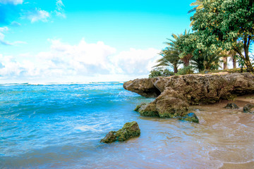 Obraz premium Beach3
