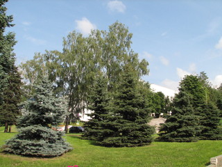 park