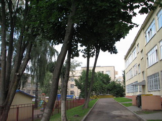 Naklejka premium park