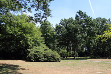 park