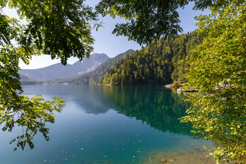 Beautiful view of the lake with clear water through the foliage of forest